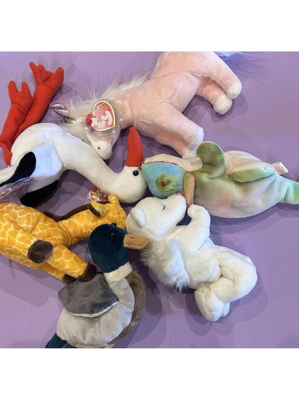Ty Beanie (Lot# 2)Twigs, Jake, Blessed, Rainbow, Charmer, Stilts